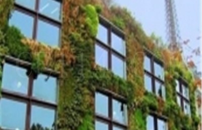 厦门城市立体绿化定制